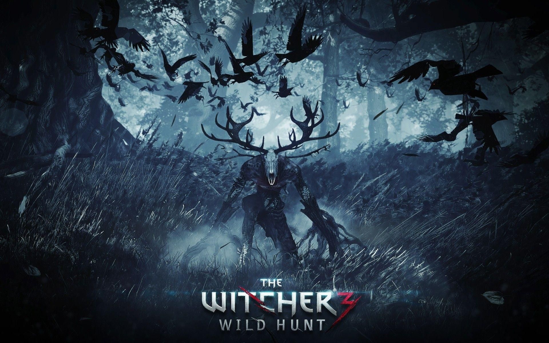 Witcher 3 1366X768 Wallpapers