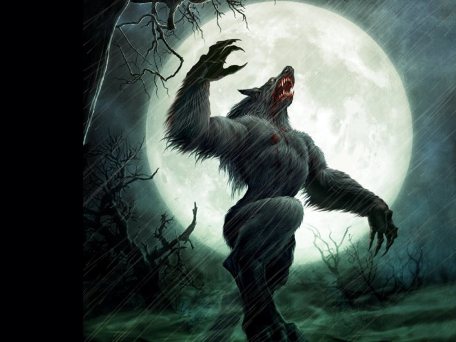 Wolfman Wallpapers