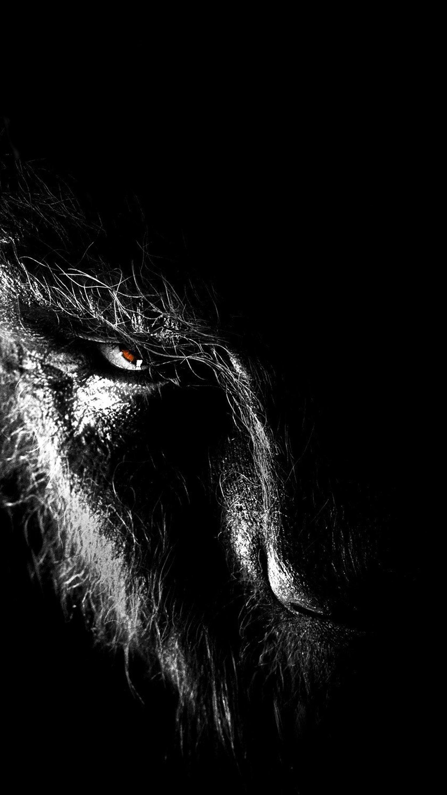 Wolfman Wallpapers