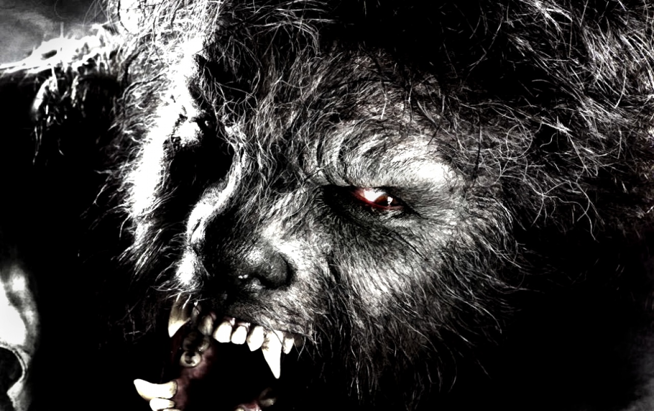 Wolfman Wallpapers