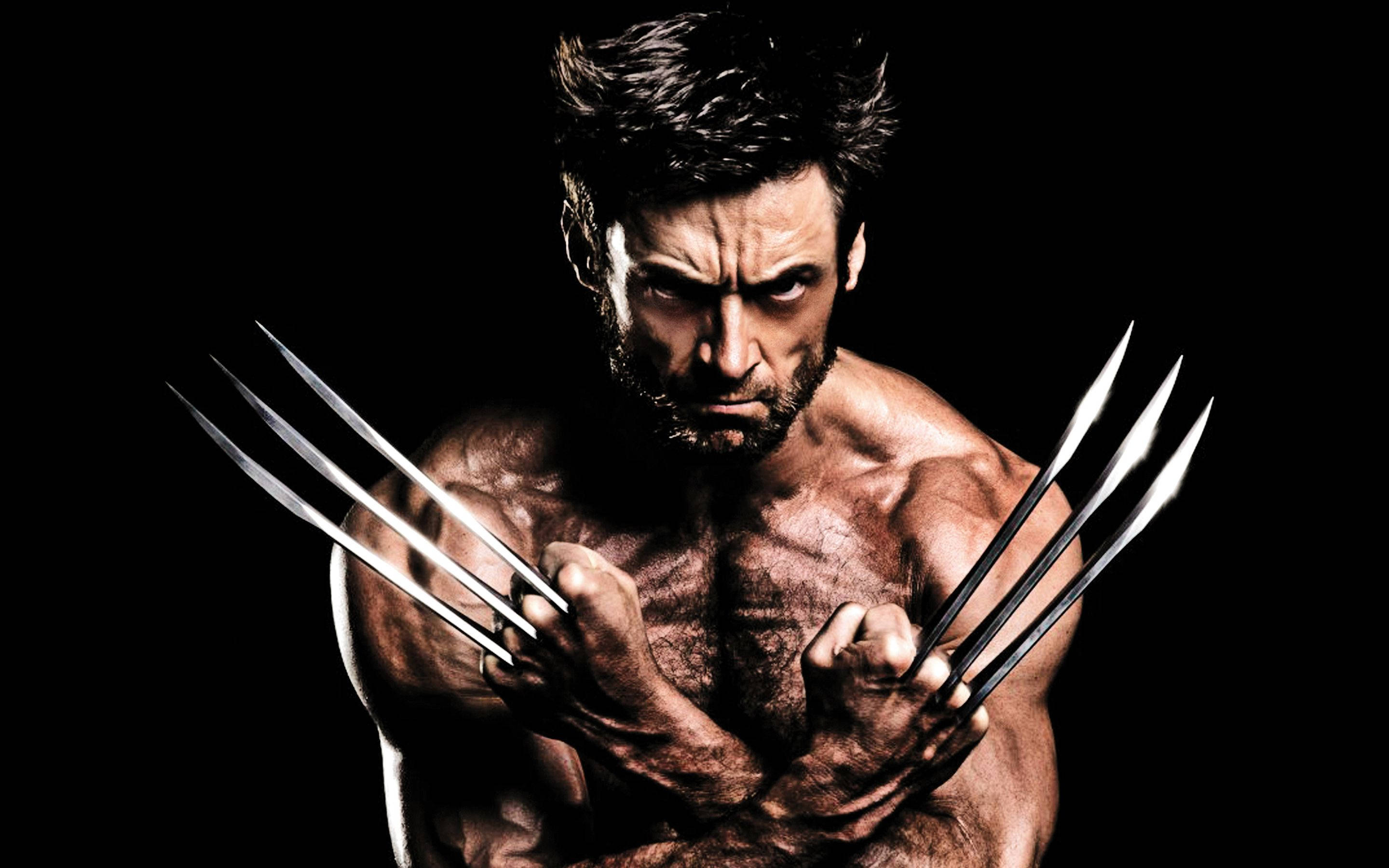 Wolverine Desktop Wallpapers