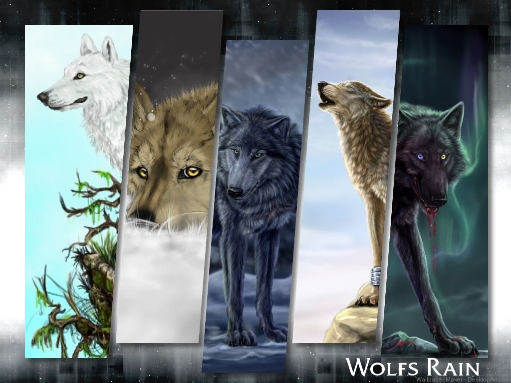 Wolves Rain Wallpapers