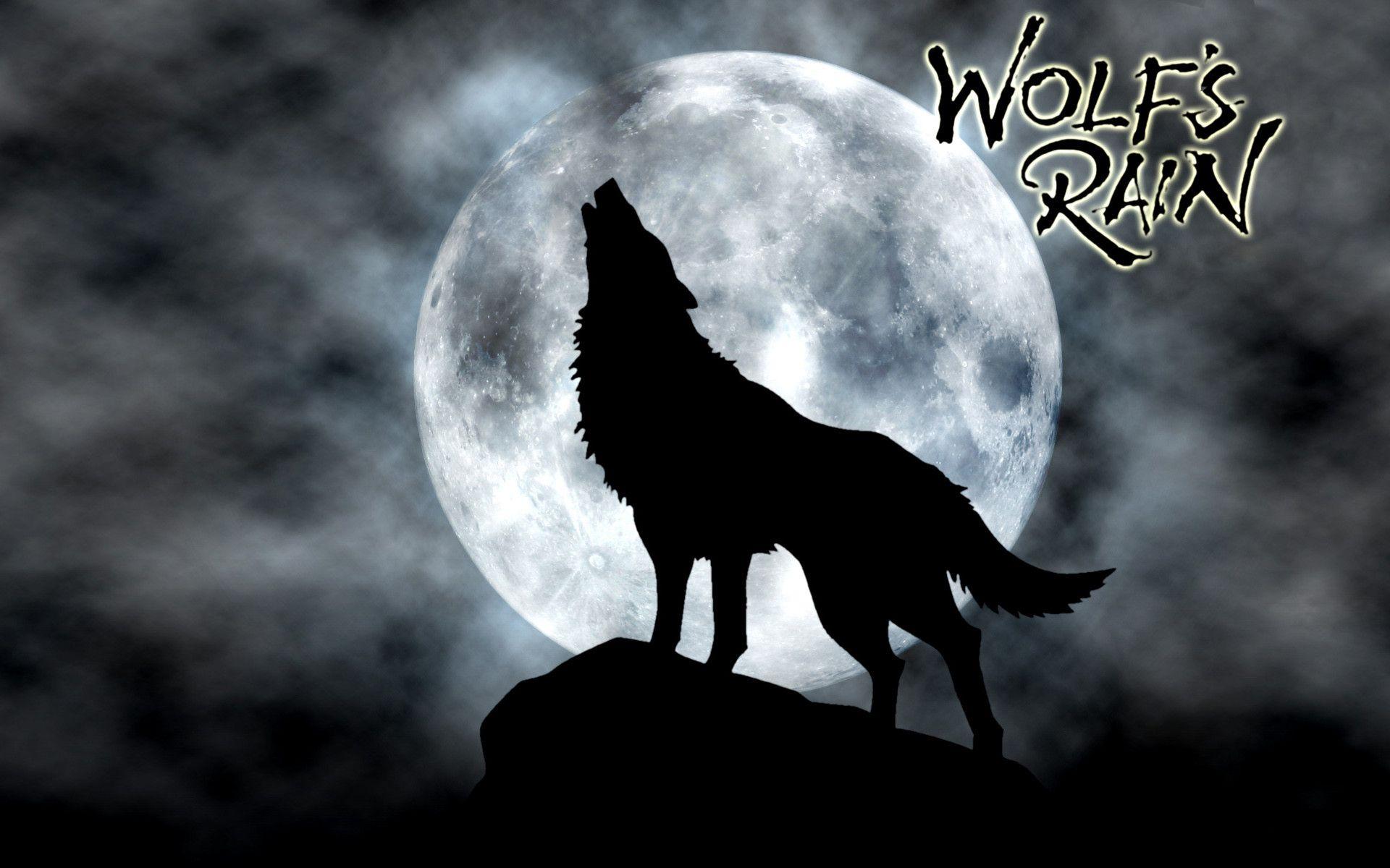 Wolves Rain Wallpapers