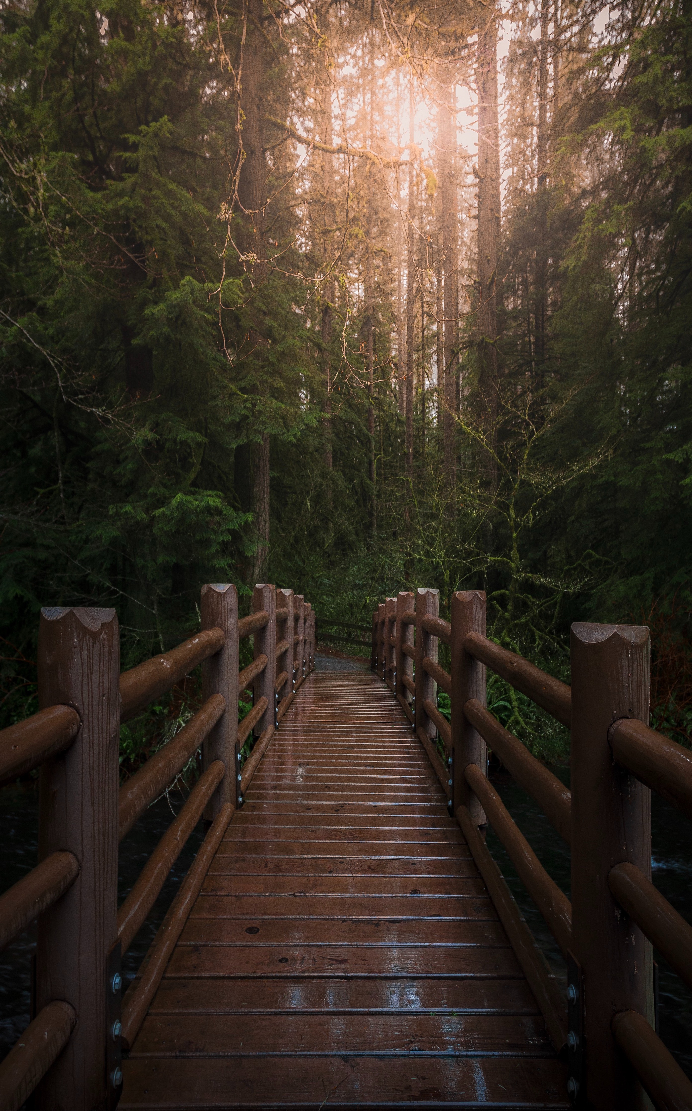 Wooden Bridge Wallpapers