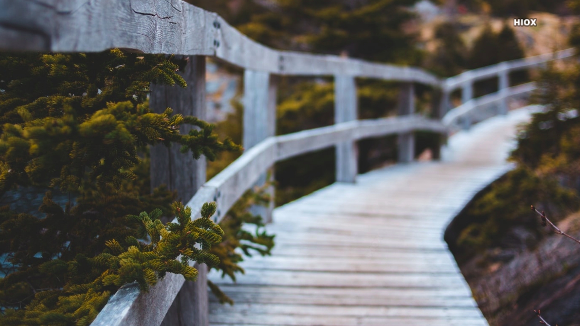 Wooden Bridge Wallpapers