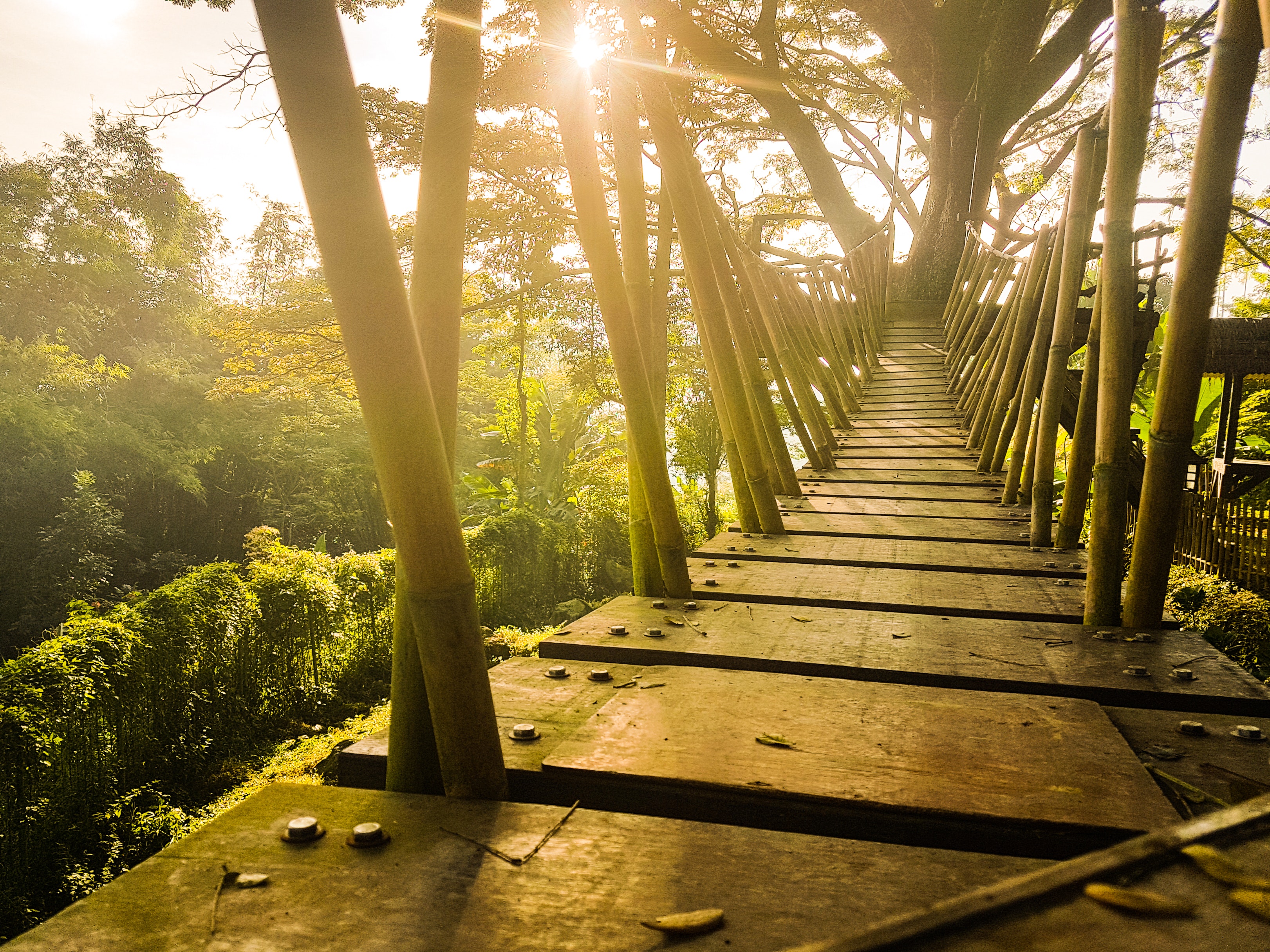 Wooden Bridge Wallpapers