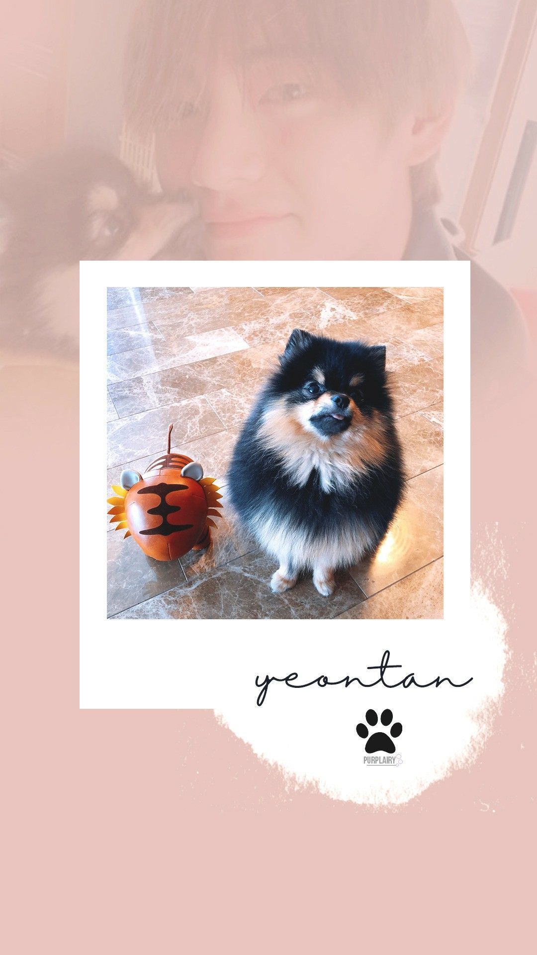 Yeontan Wallpapers