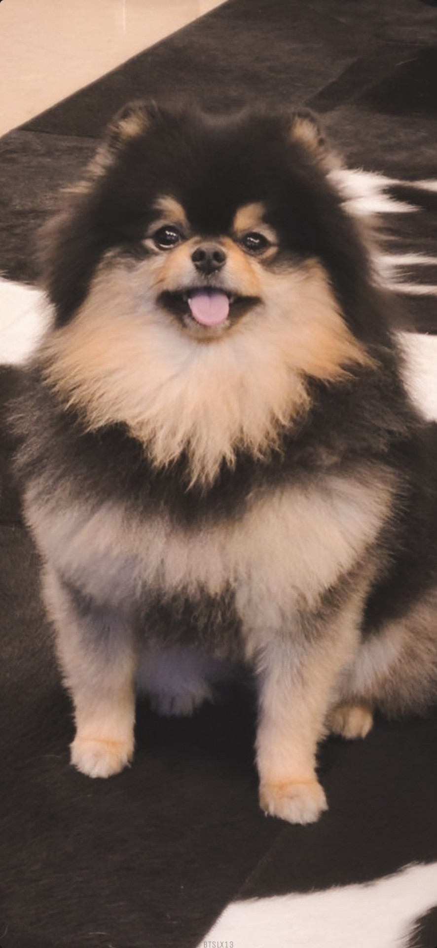 Yeontan Wallpapers