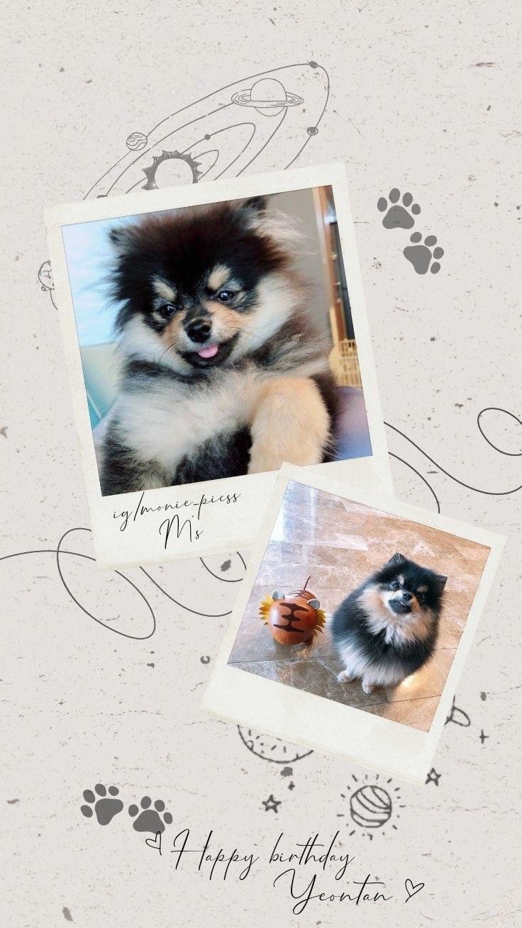 Yeontan Wallpapers