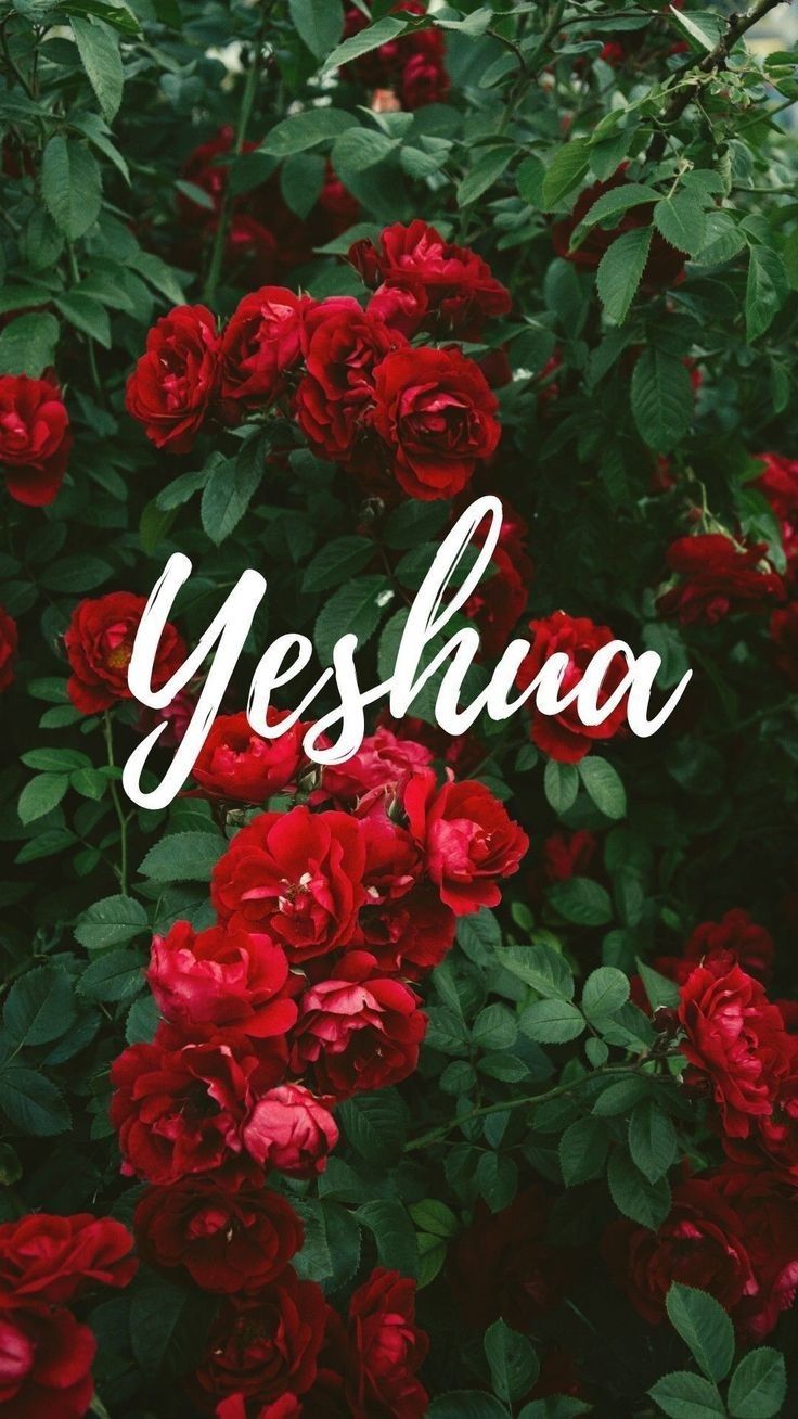 Yeshua Wallpapers