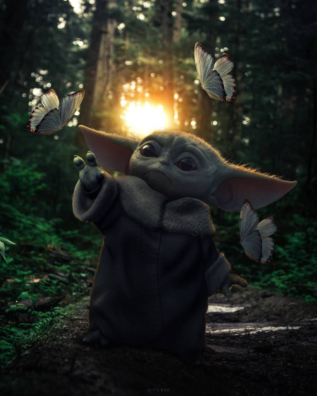 Yoda Wallpapers