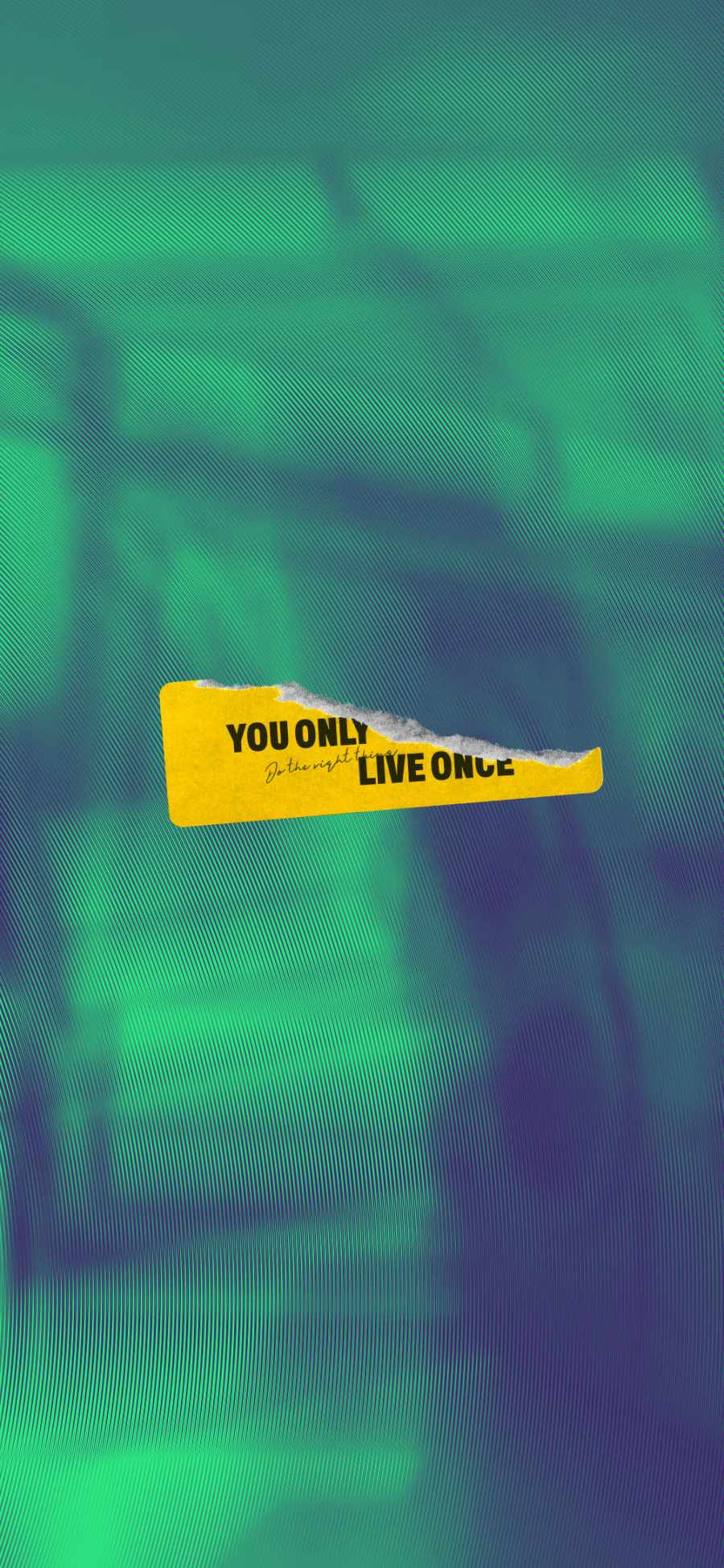 Yolo Wallpapers