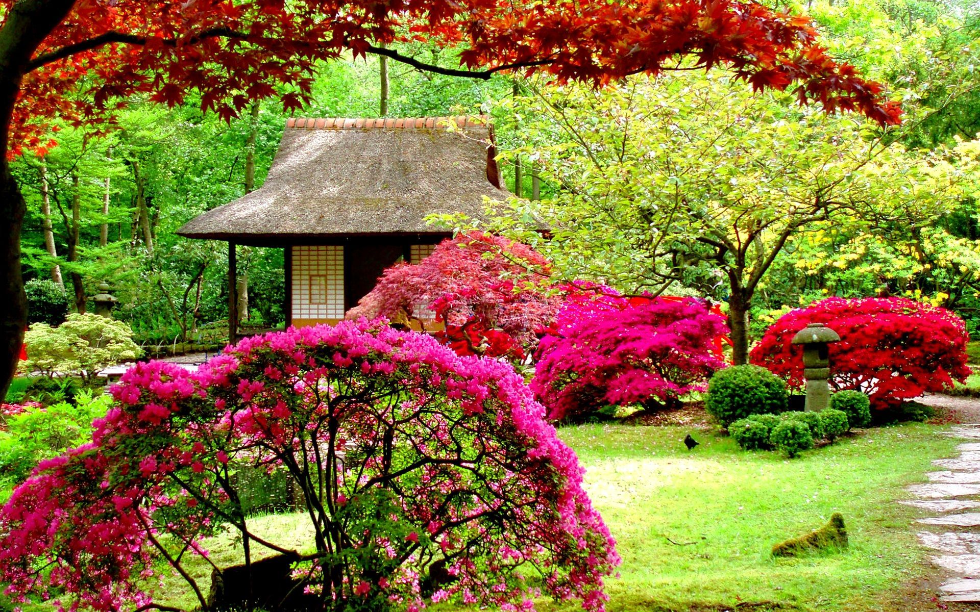 Zen Flower Garden Wallpapers