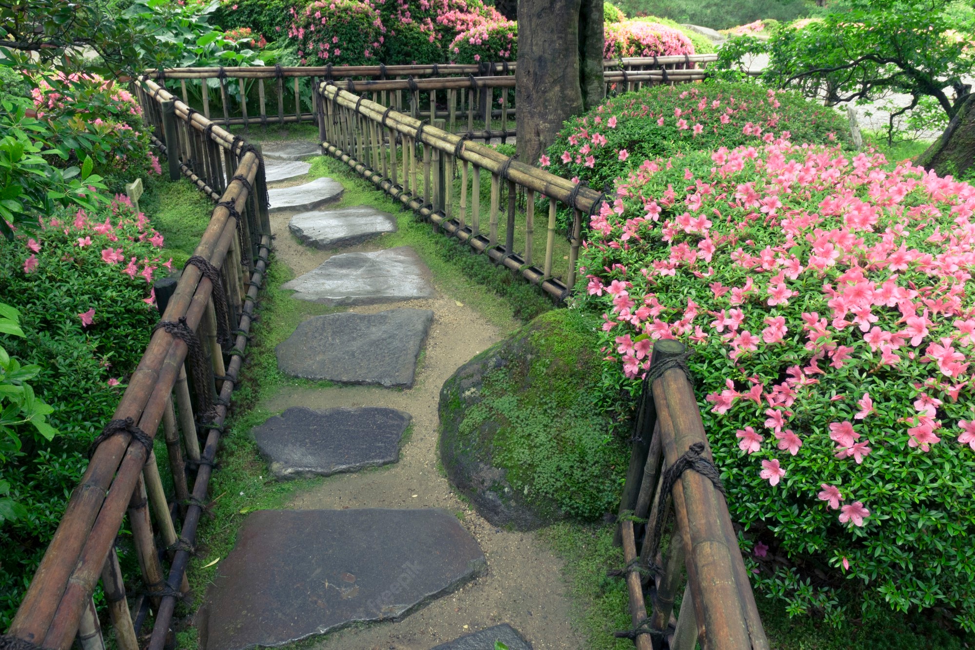 Zen Flower Garden Wallpapers