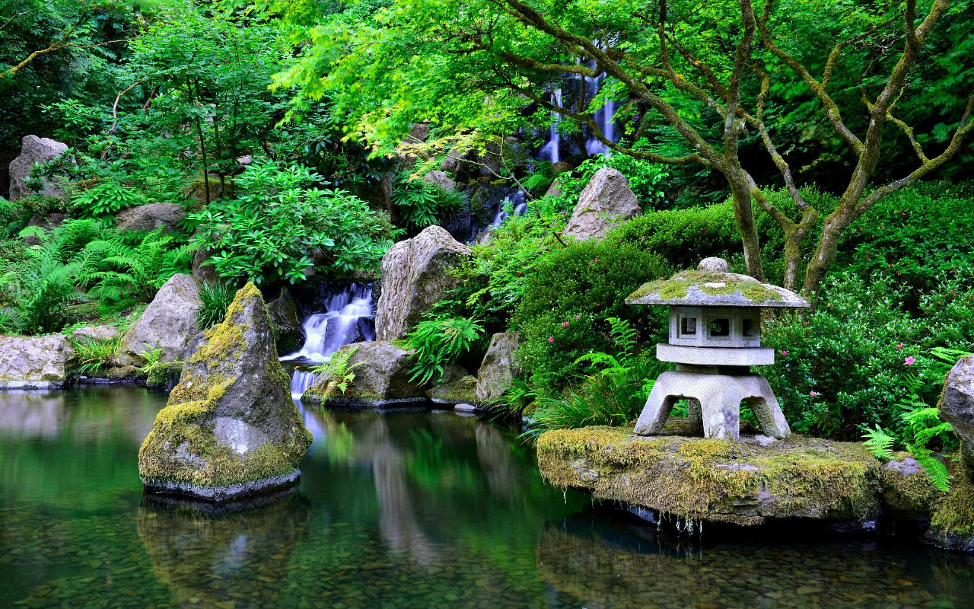 Zen Garden Live Wallpapers