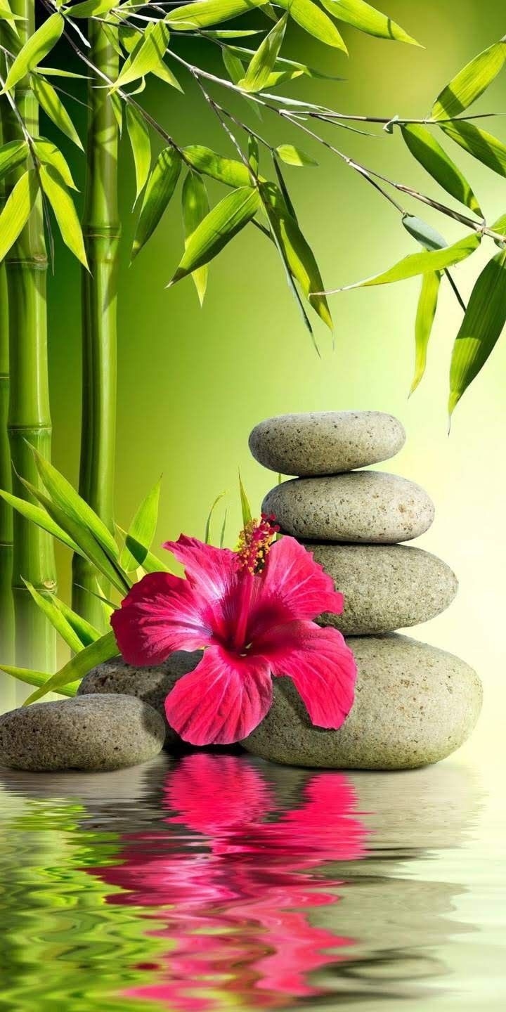 Zen Nature Wallpapers