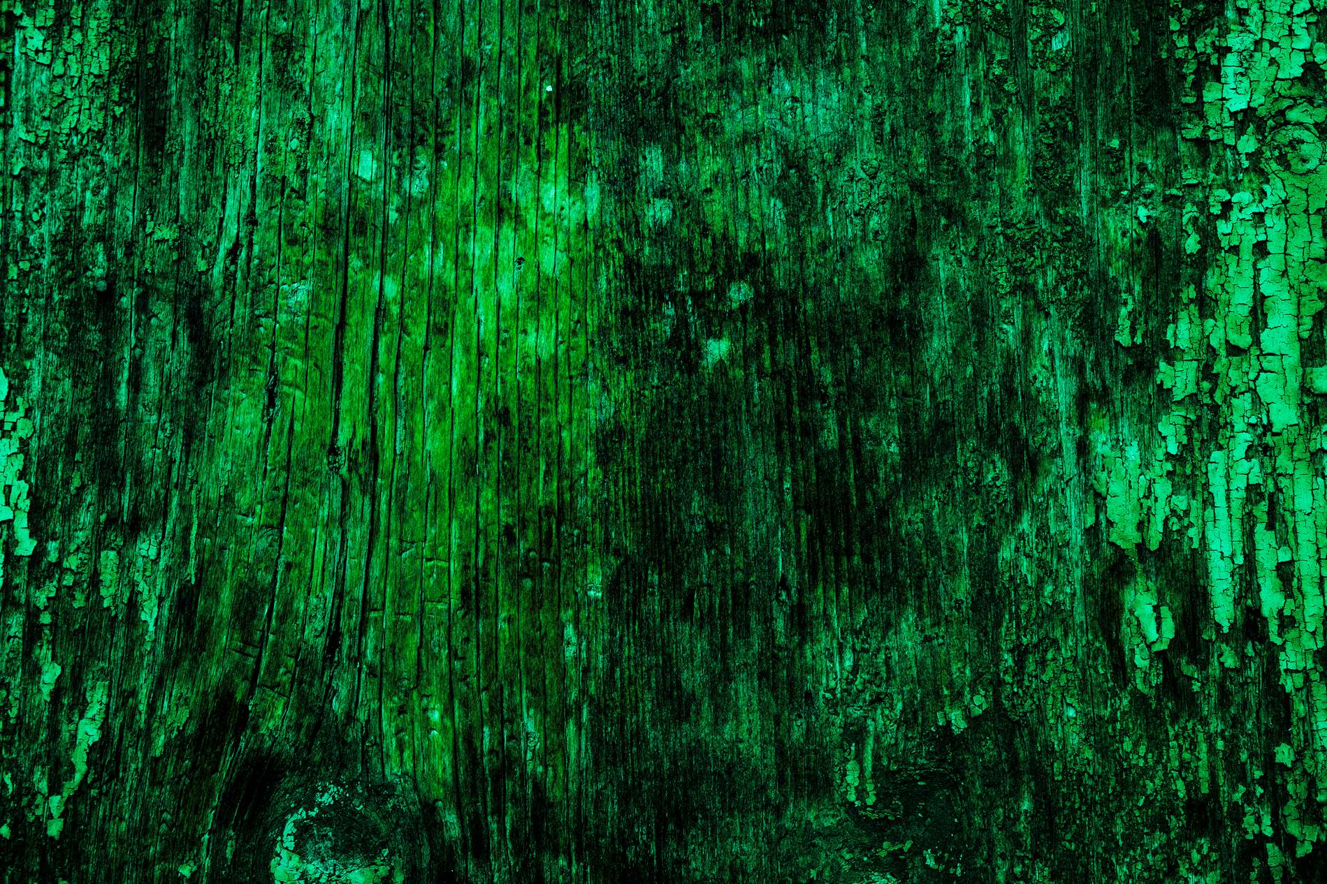 Dark Green Texture Background