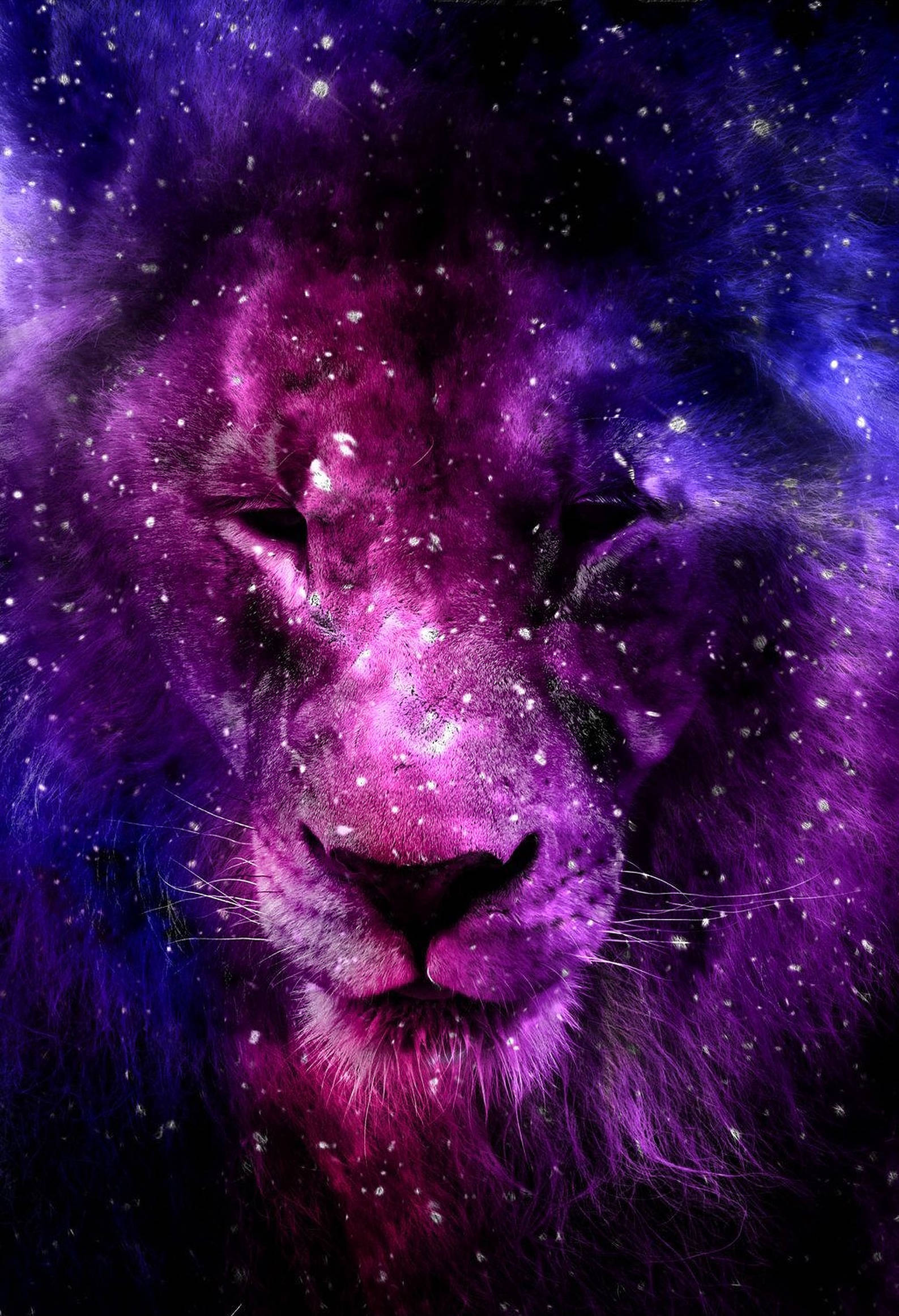 Lion Purple Background Digital Art