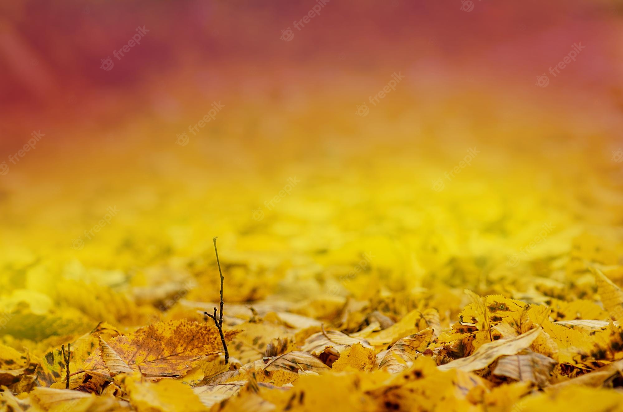 Abstract Fall Background