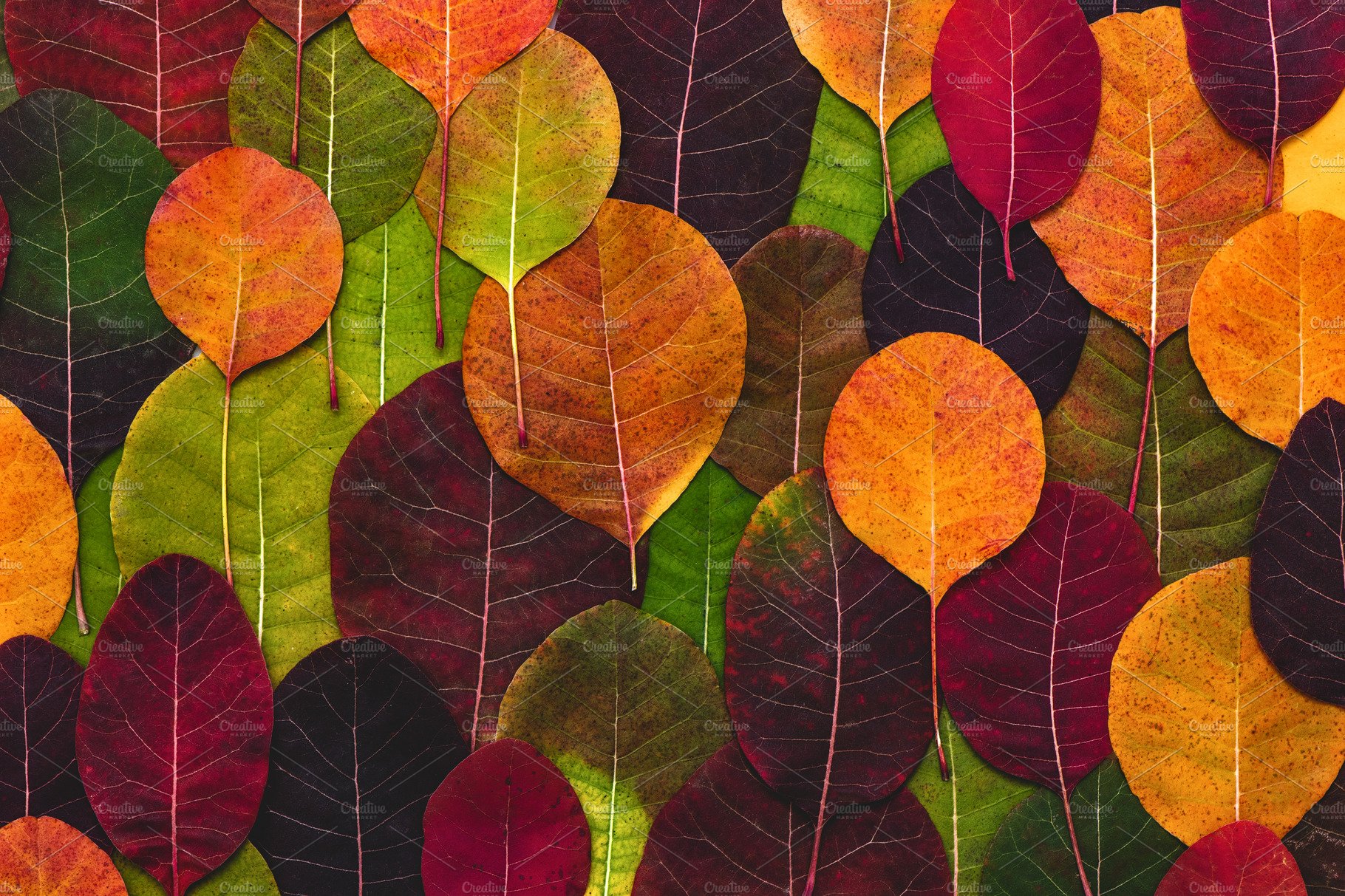 Abstract Fall Background