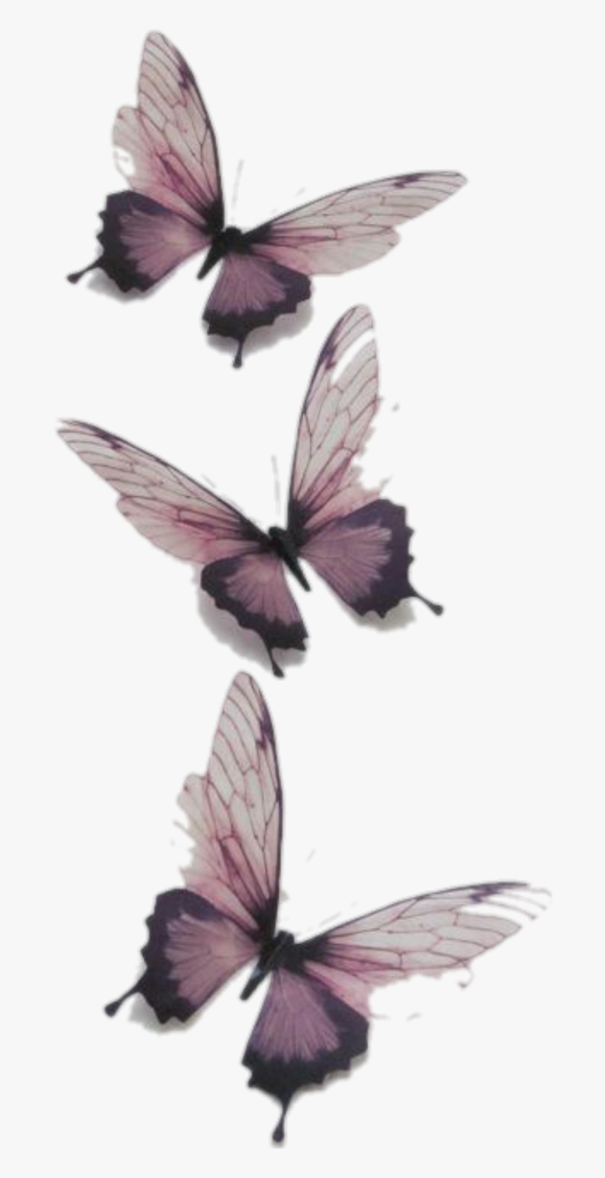 Aesthetic Butterfly Transparent Background