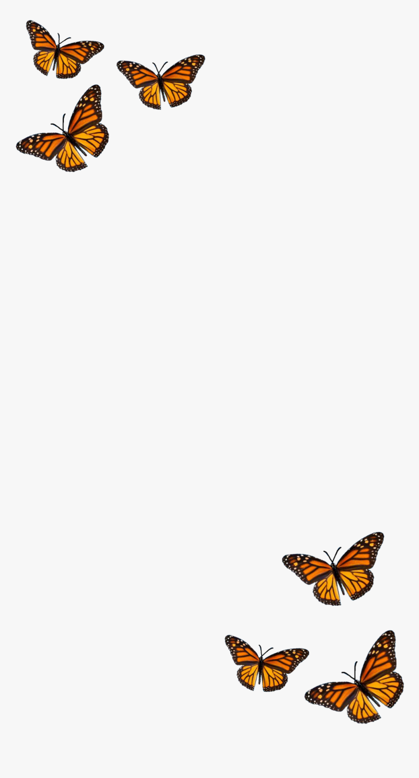 Aesthetic Butterfly Transparent Background