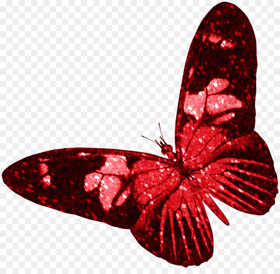 Aesthetic Butterfly Transparent Background