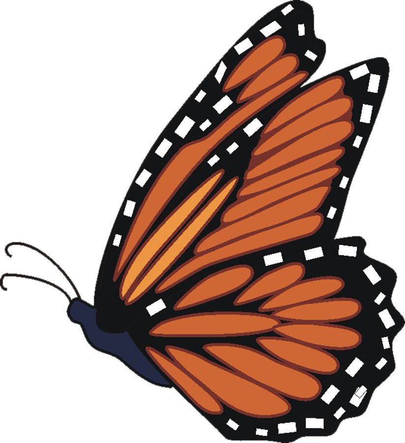 Aesthetic Butterfly Transparent Background