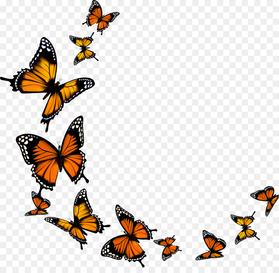 Aesthetic Butterfly Transparent Background