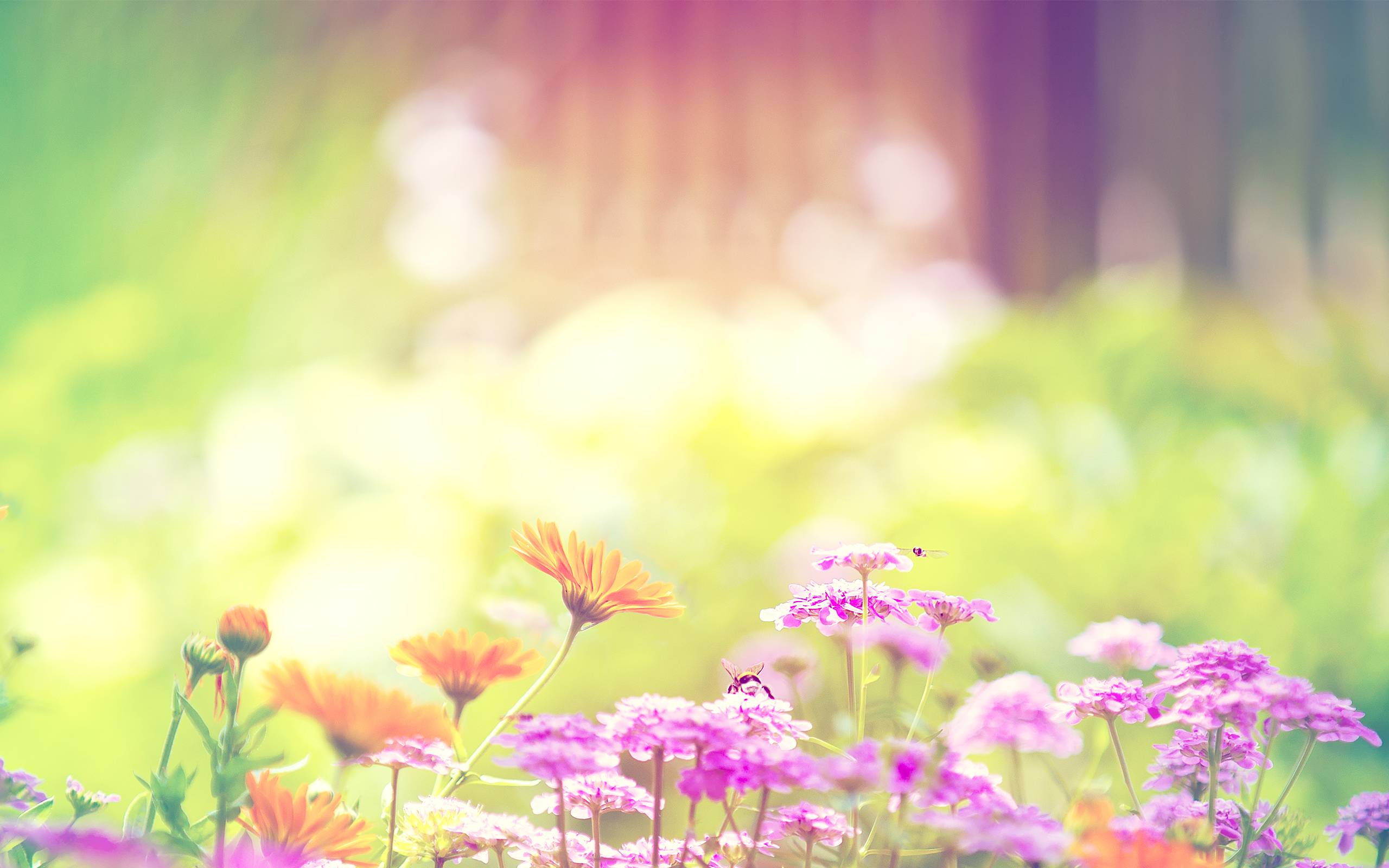 Cute Spring Backgrounds