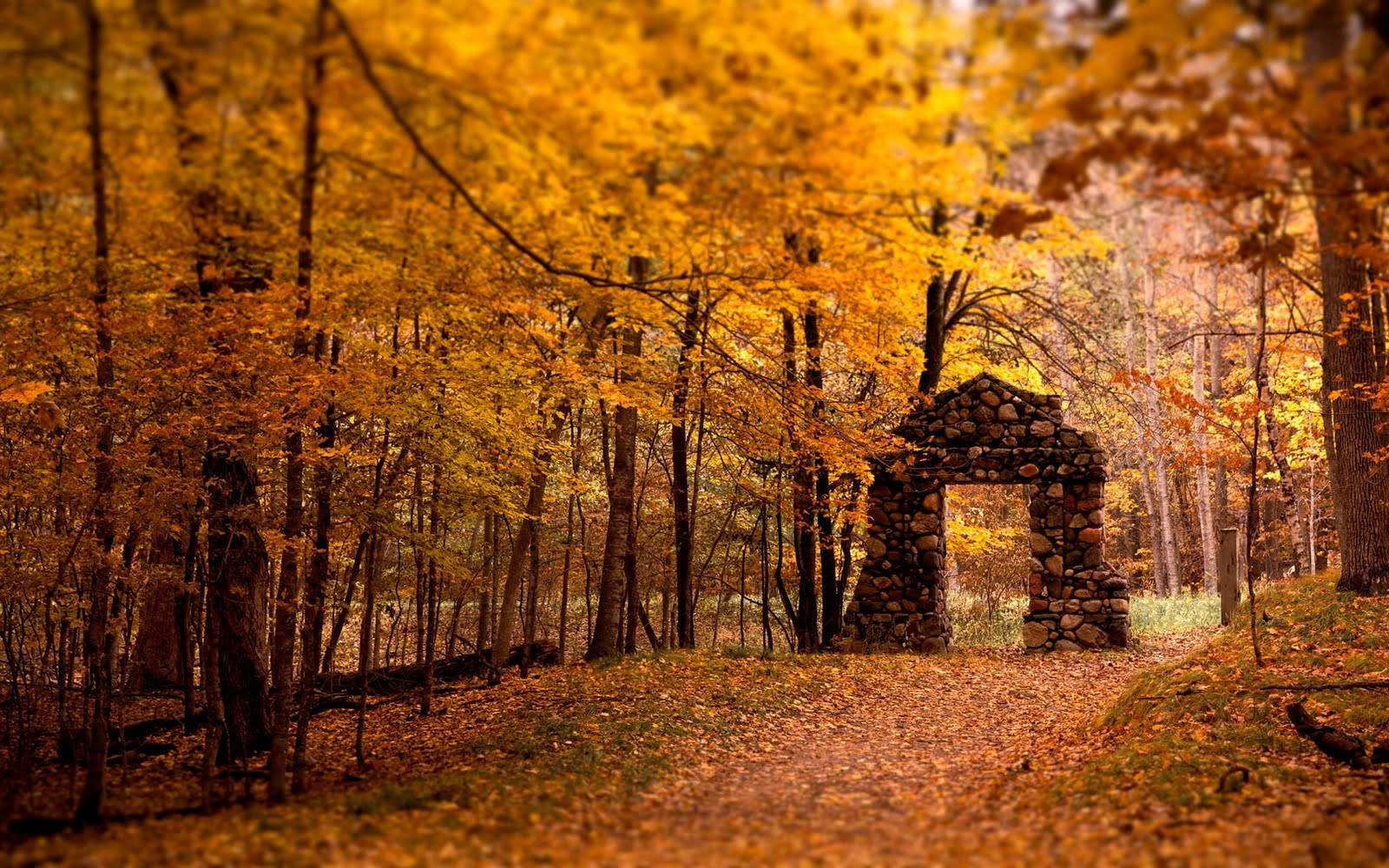 Cool Fall Backgrounds