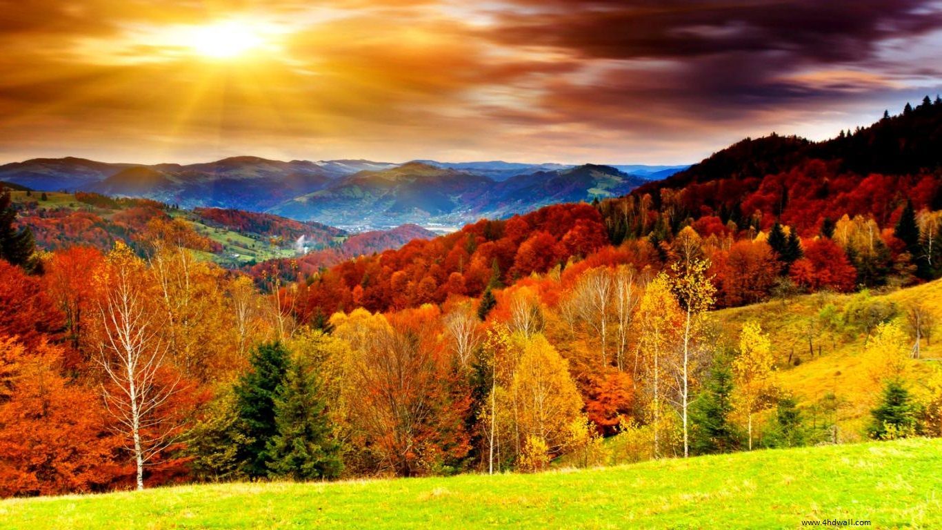 Cool Fall Backgrounds