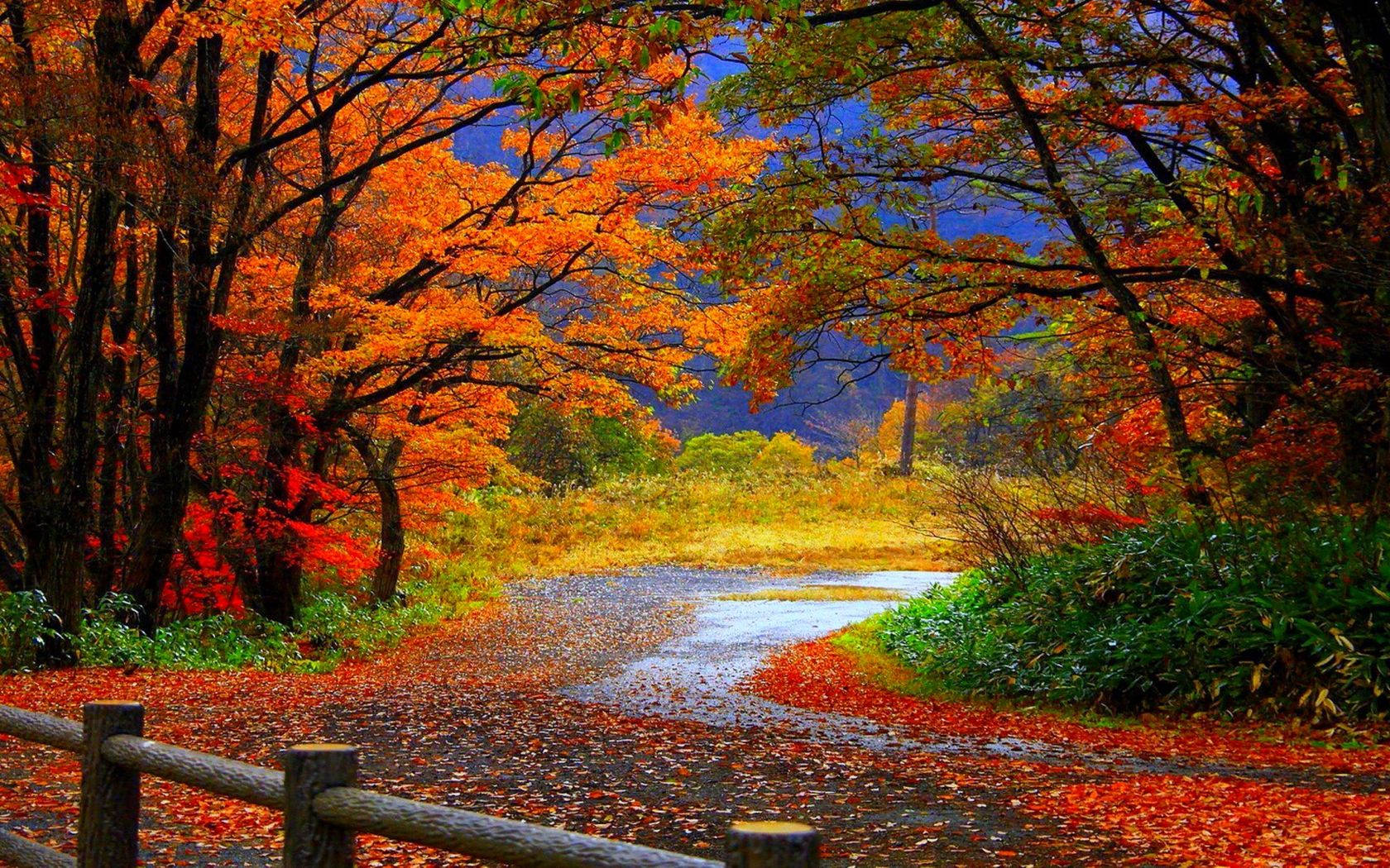 Cool Fall Backgrounds