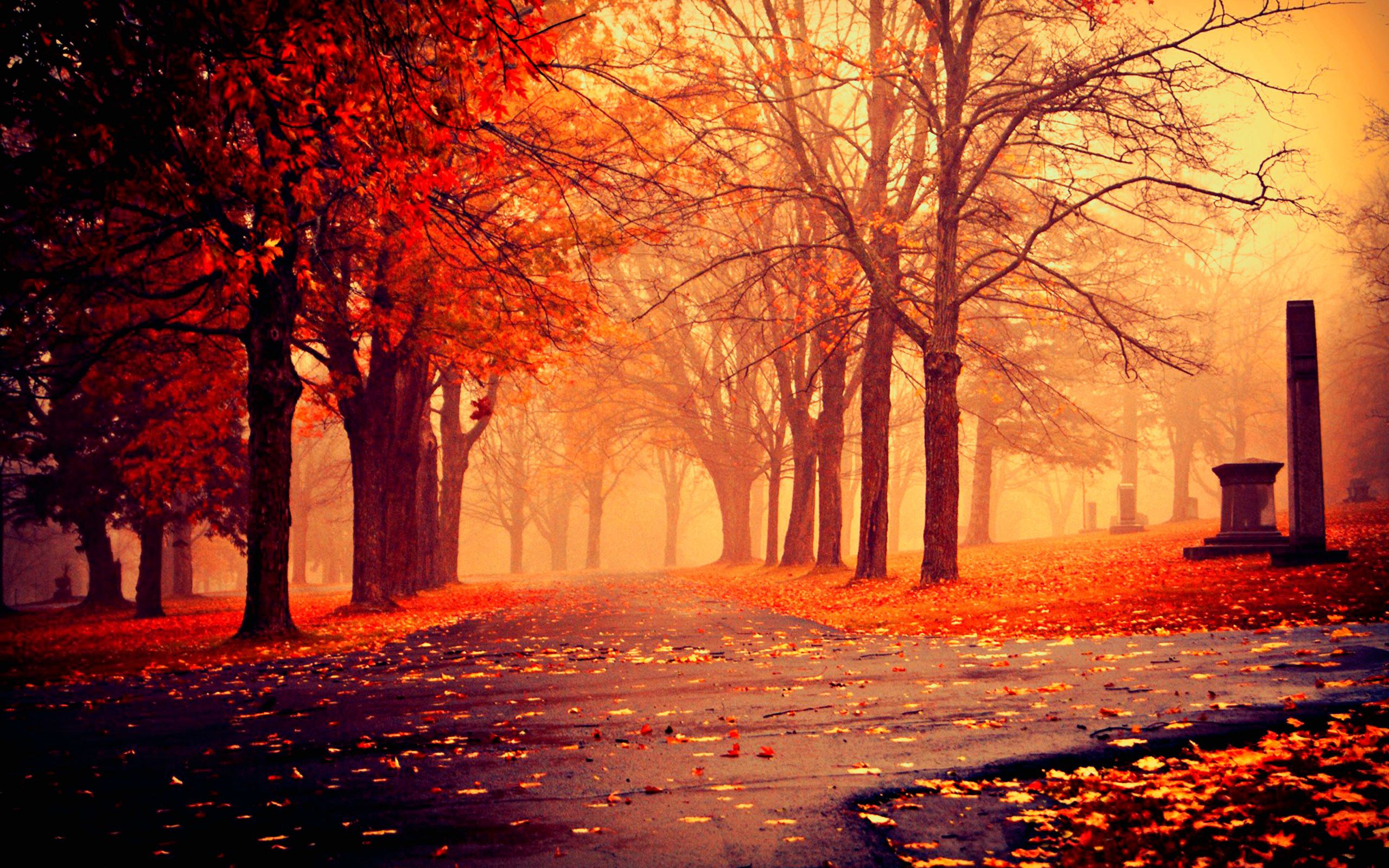 Cool Fall Backgrounds