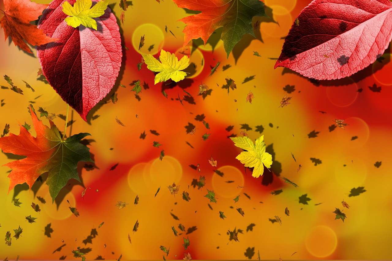 Cool Fall Backgrounds