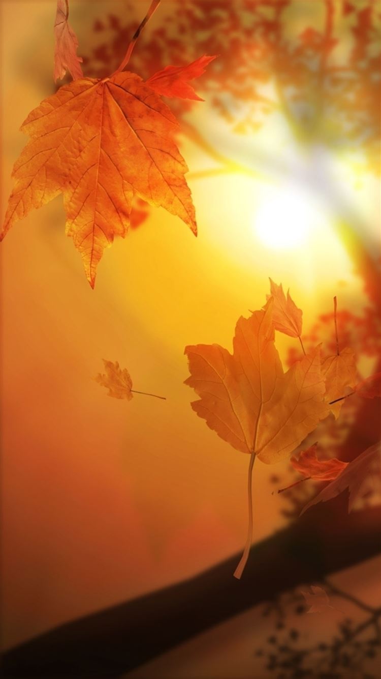 Cool Fall Backgrounds