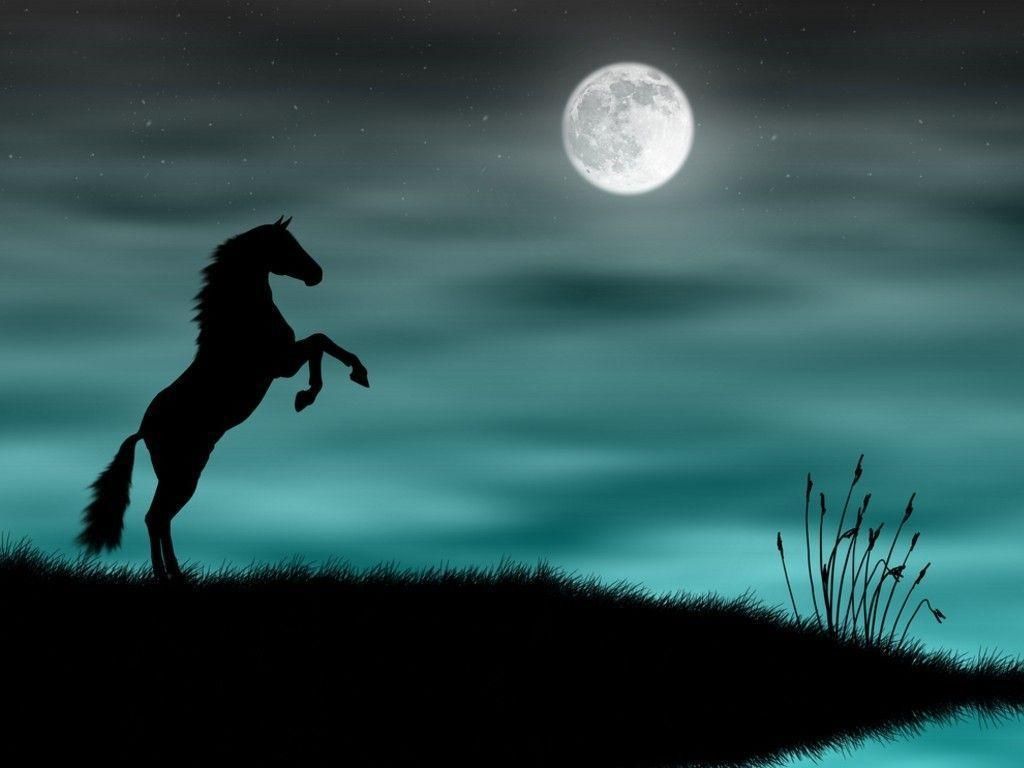 Cool Horse Backgrounds