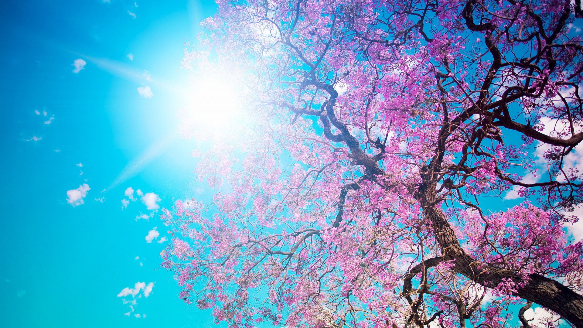 Cool Spring Backgrounds