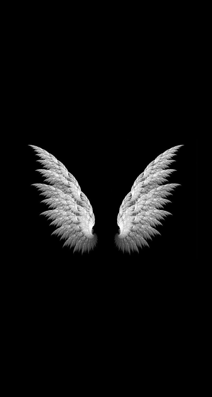 Angel Wings Black Background