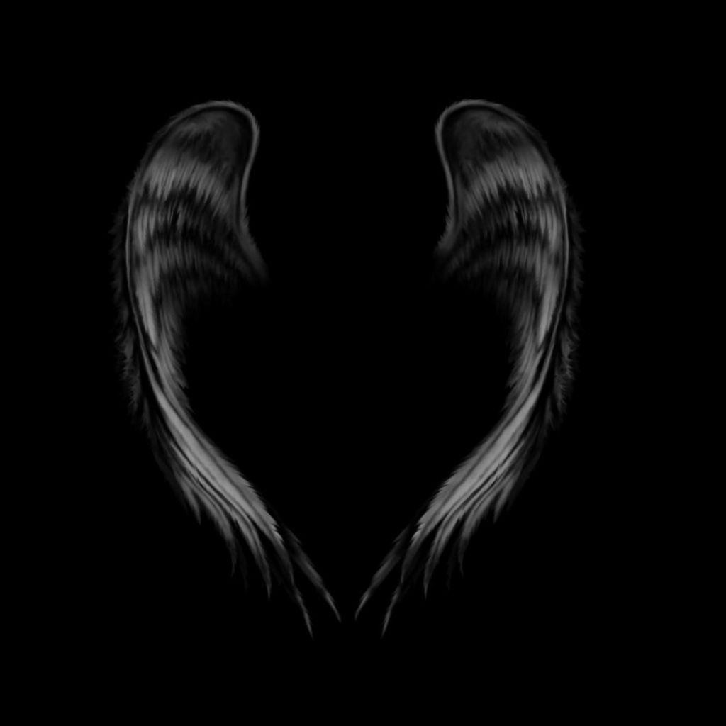 Angel Wings Black Background