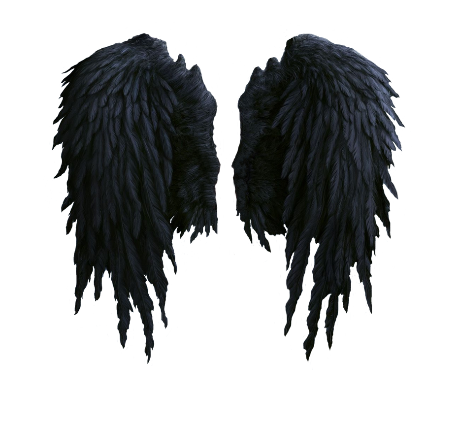 Angel Wings Black Background