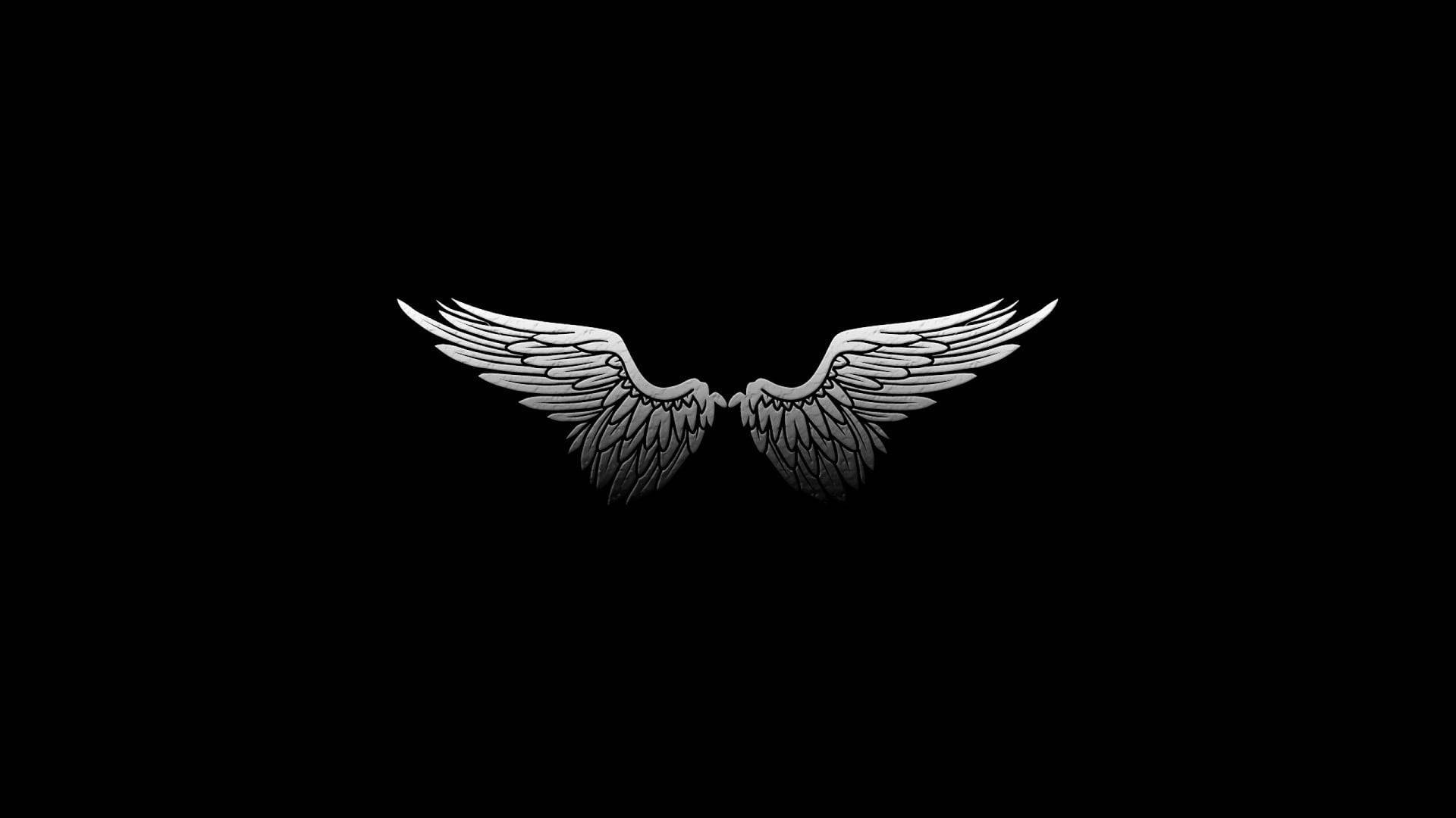 Angel Wings Black Background