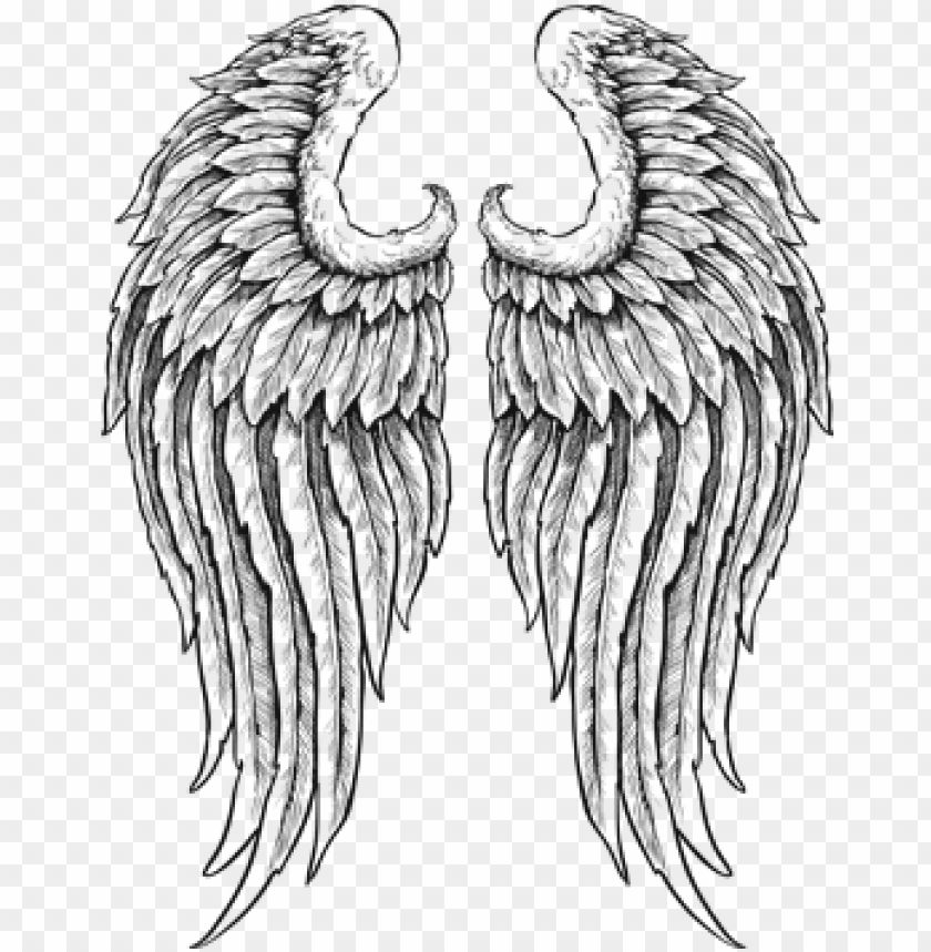 Angel Wings Black Background