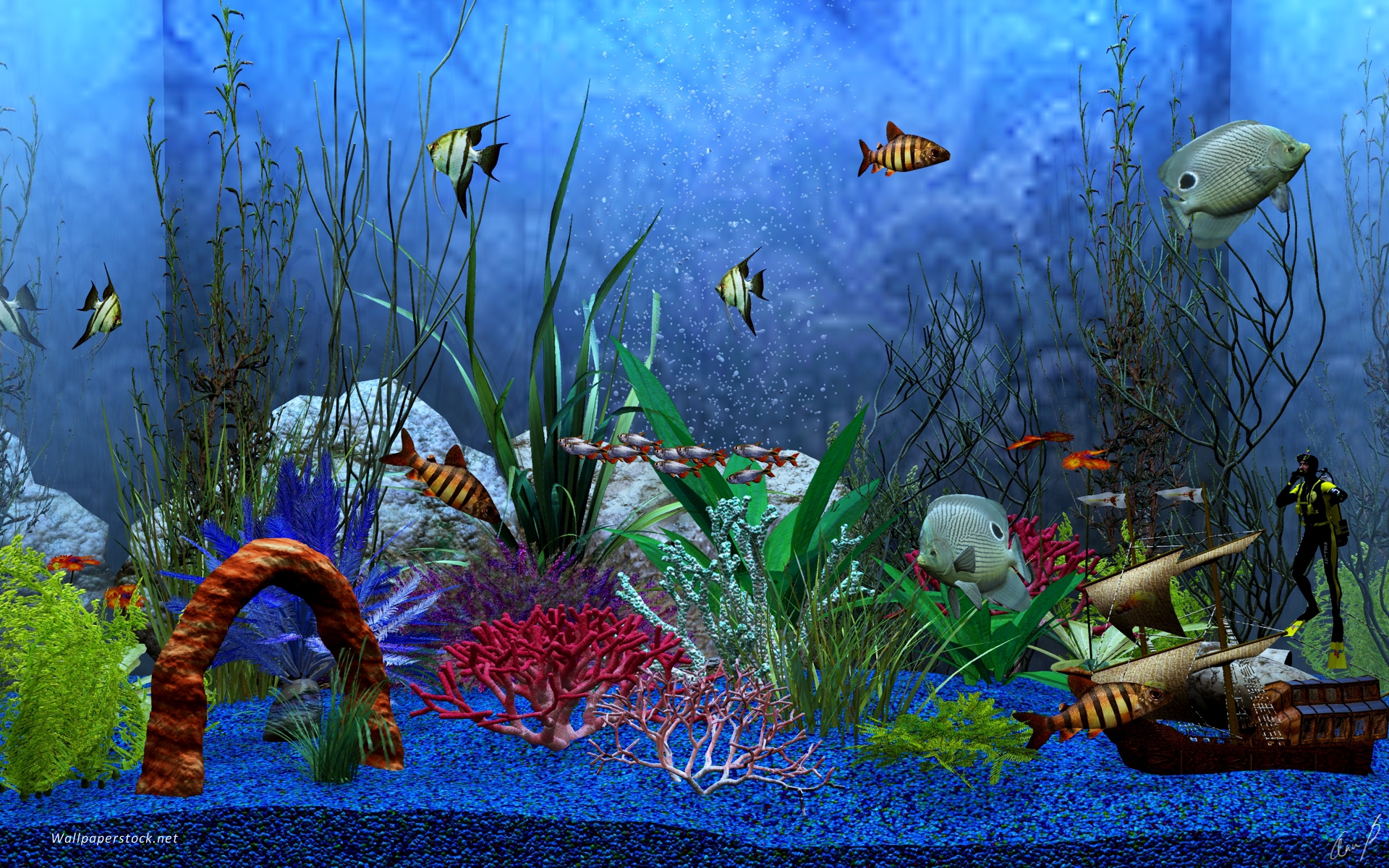 Aquarium Backgrounds For Computer