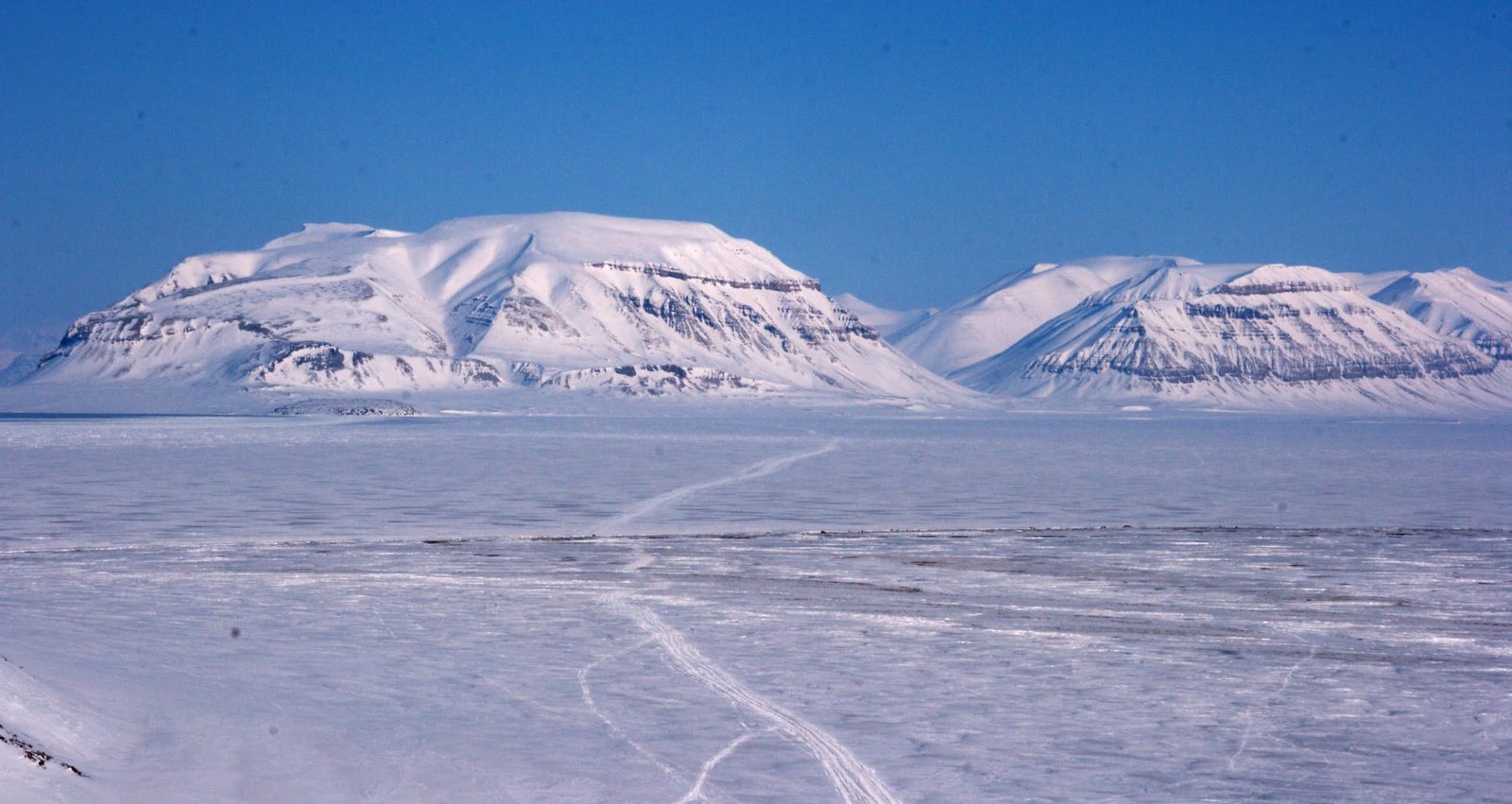 Arctic Backgrounds