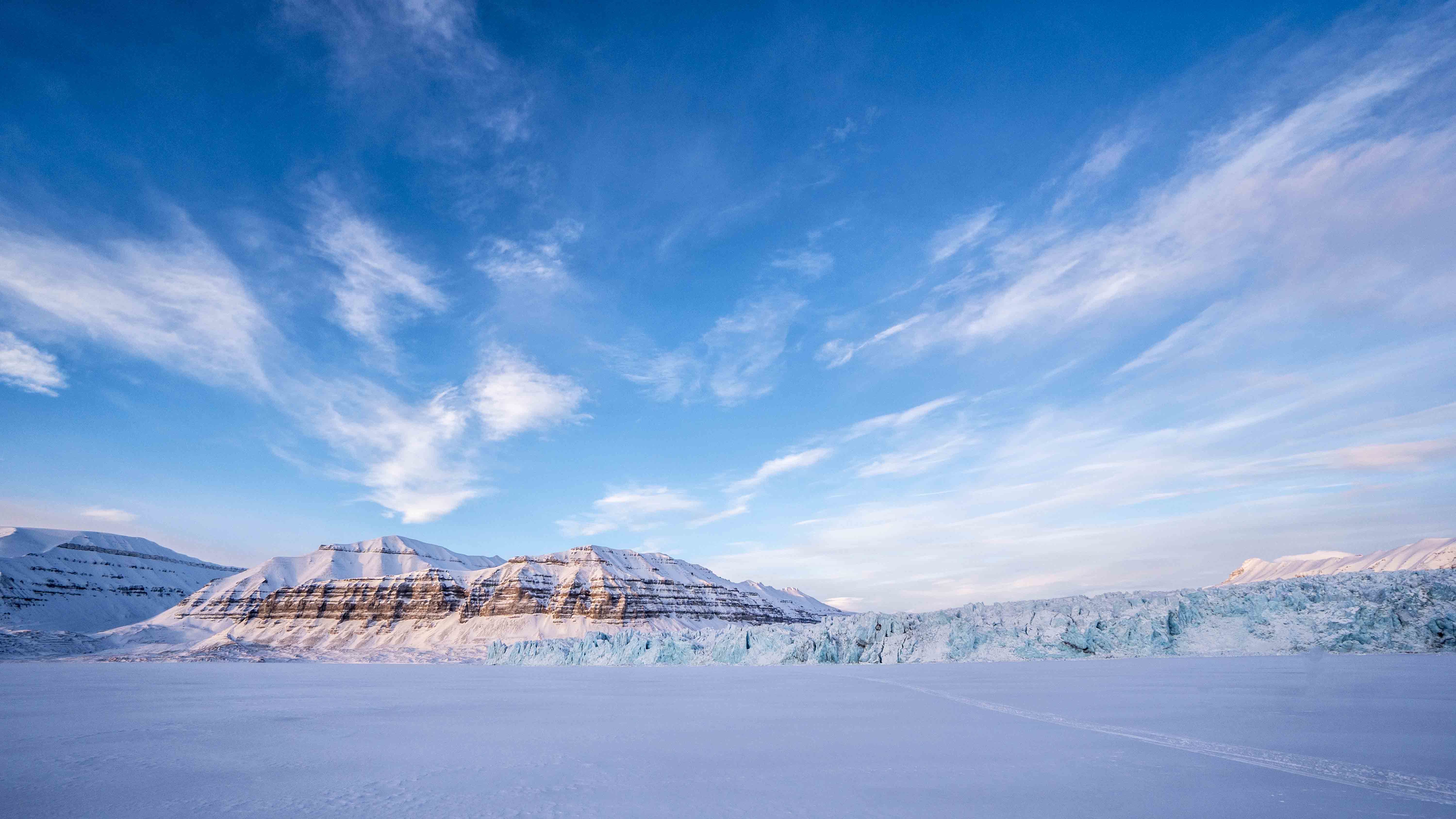 Arctic Backgrounds