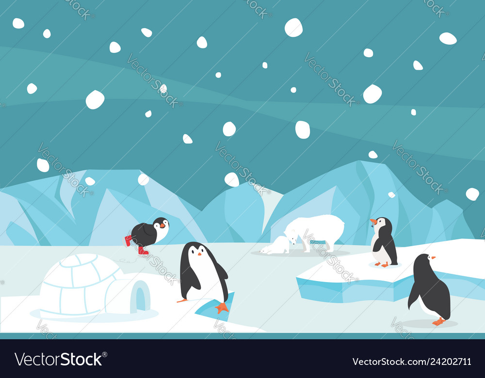 Arctic Backgrounds