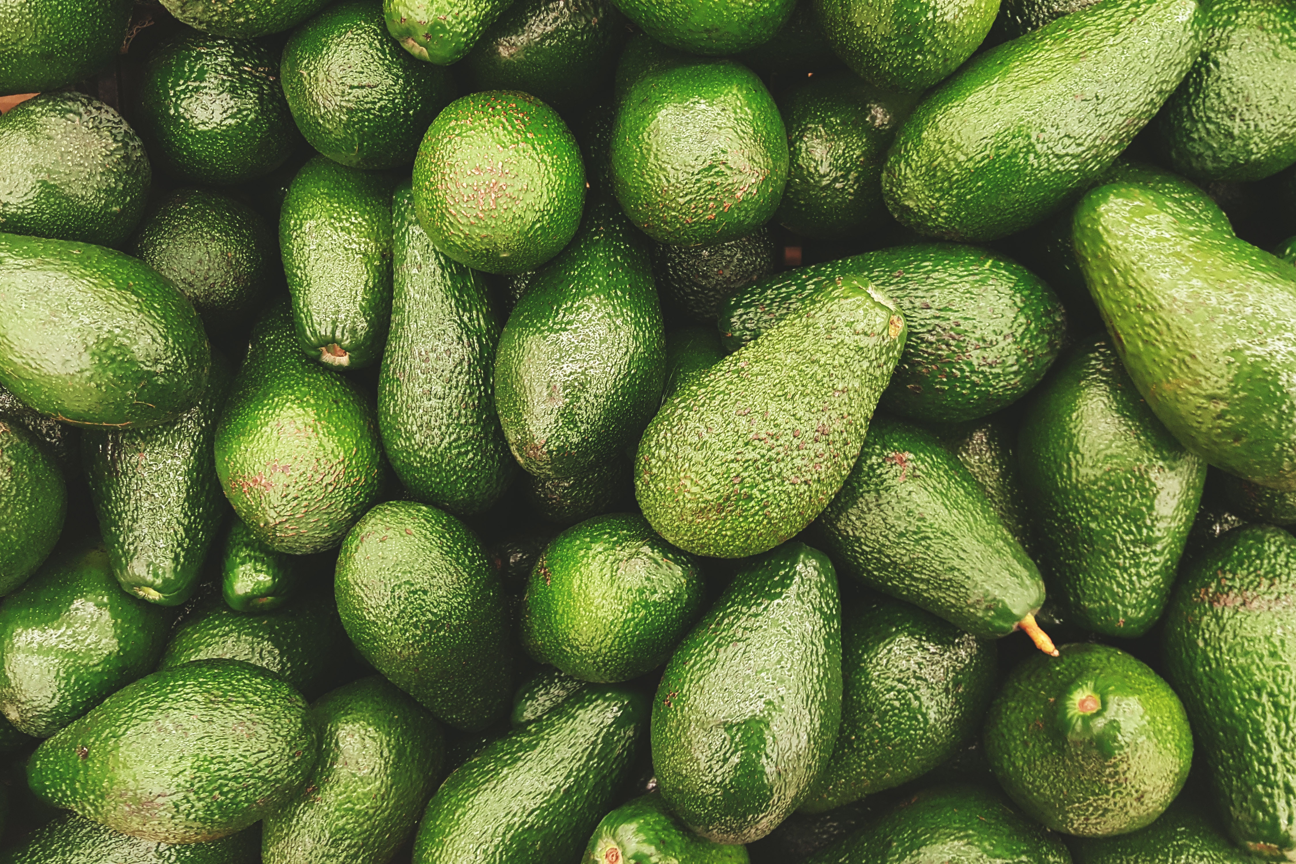 Background Avocado