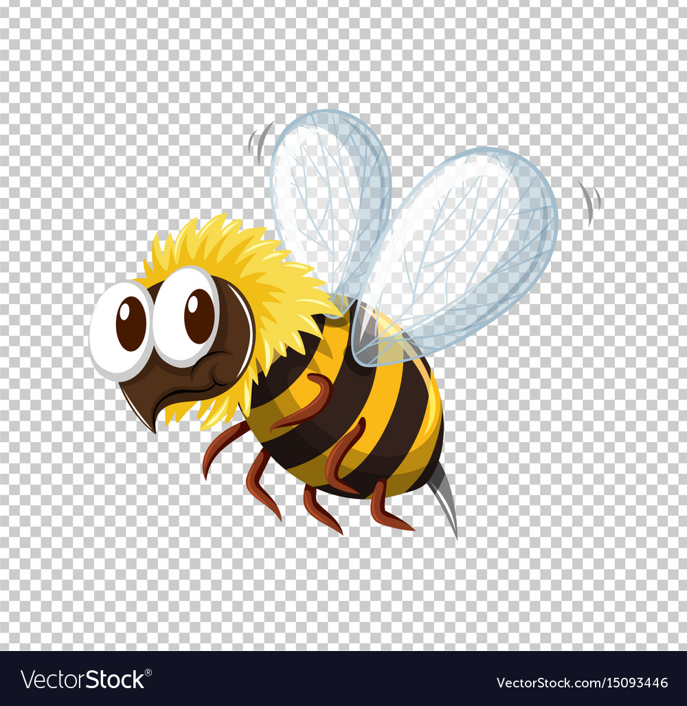 Background Bee