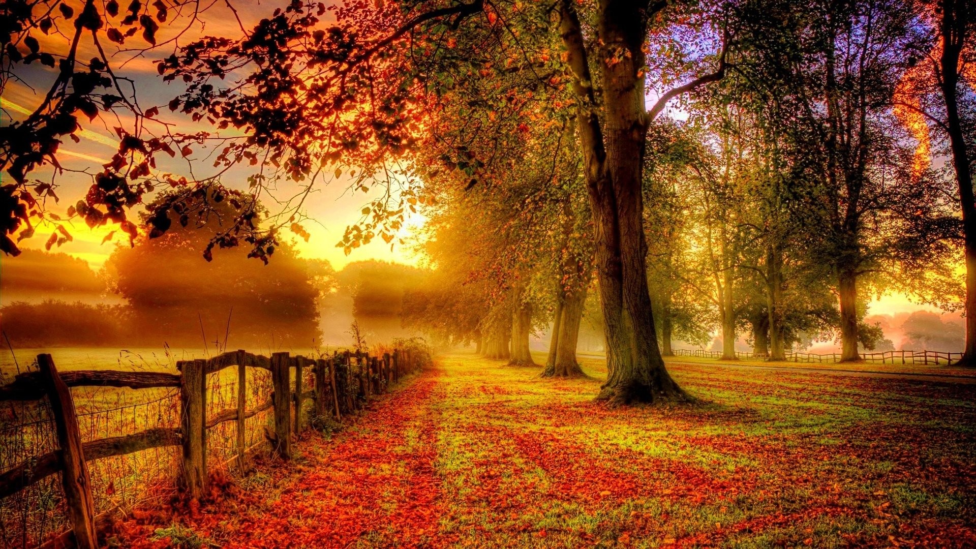 Background Images Landscape Fall